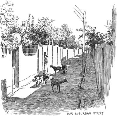 Street scene with goats
