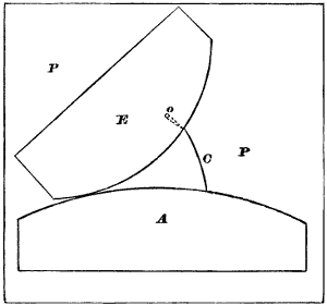 Fig. 118