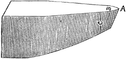Fig. 975