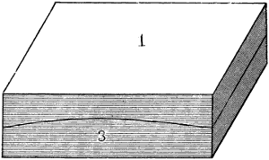 Fig. 2439
