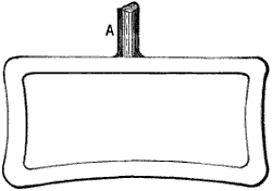 Fig. 2921