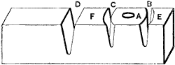 Fig. 2965