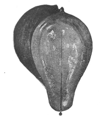 Fig. 118.