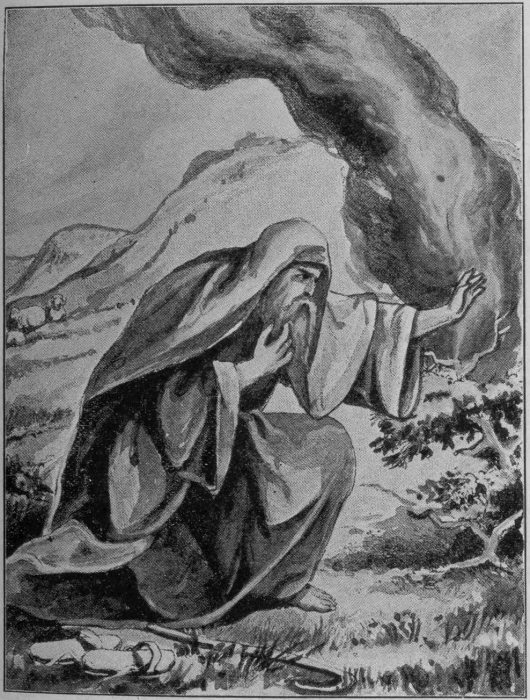 A bush of acacia apparently on
fire.