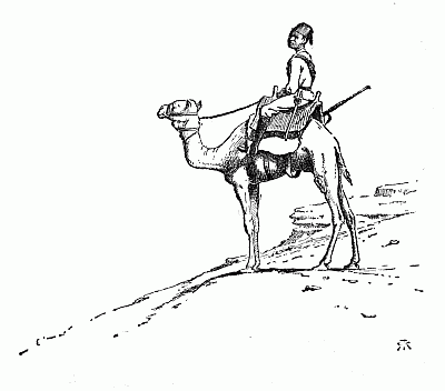 on a camel