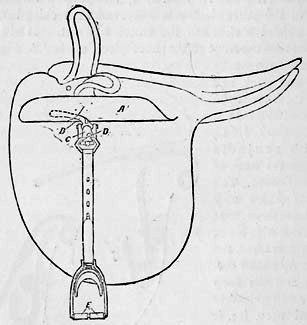 Diagram of a saddle