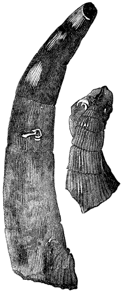 Fig. 64