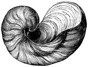 Fig. 88