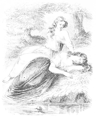 Et je vous contemplai avec une singulière curiosité.
(page 47.)