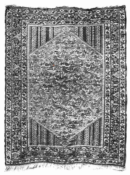 Plate 4. Shiraz Rug