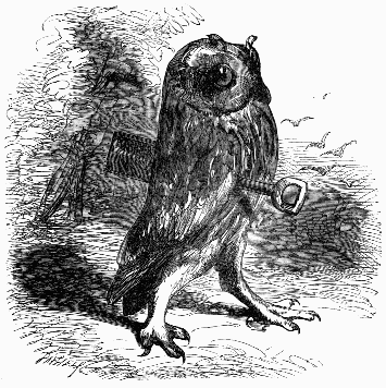Owl with spade