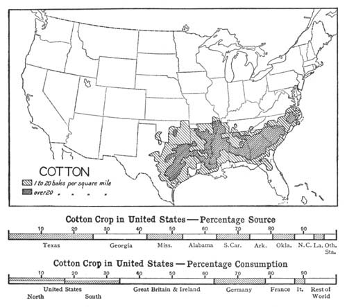 Illustration: Cotton Crop in United States