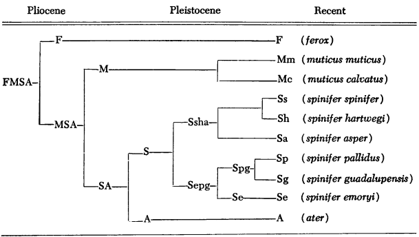 Possum Hollow Bore Guide Selection Chart