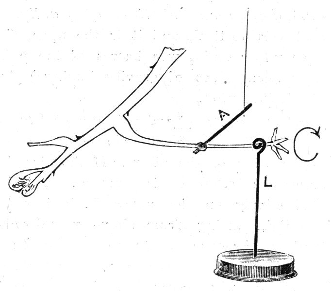 Fig. 179.