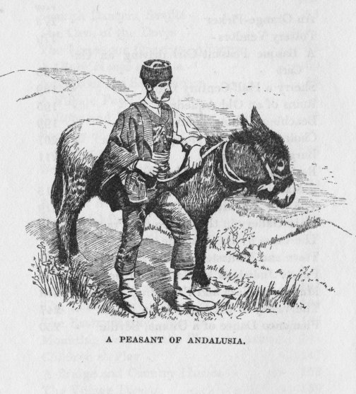 A Peasant of Andalusia