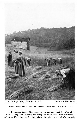 Harvesting wheat in the Basque Province of Guipúzcoa