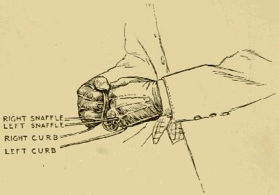 REINS IN TWO HANDS, CURB OUTSIDE, SNAFFLE INSIDE, SIDE
VIEW