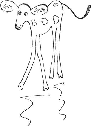 long-legged calf