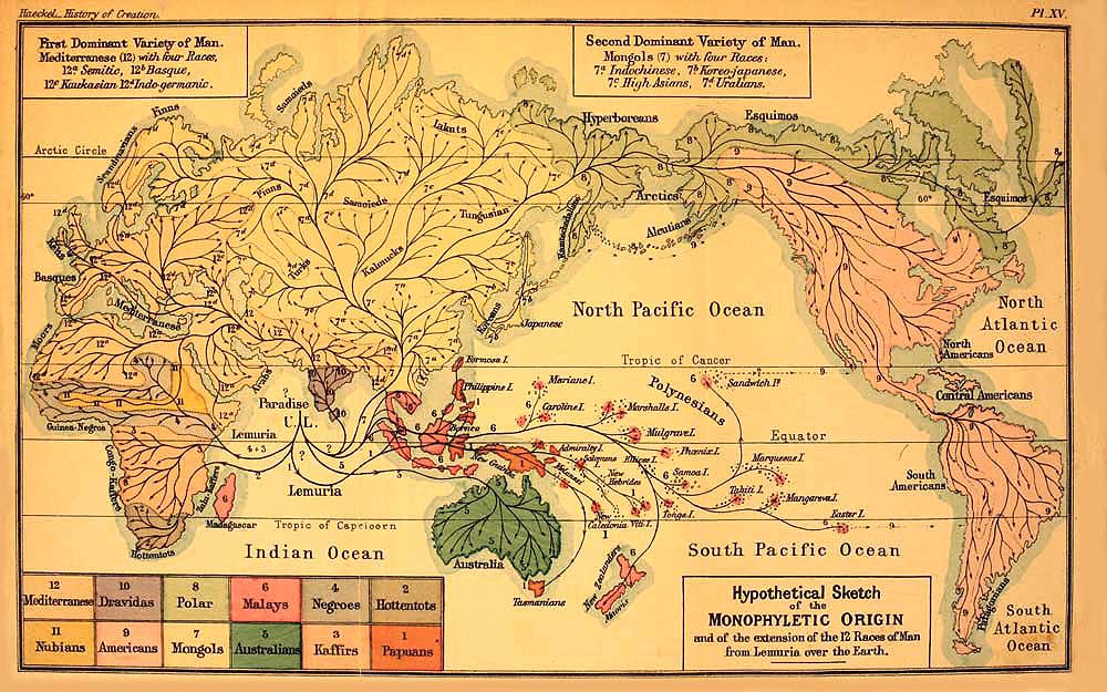 The Project Gutenberg eBook of The History of Creation Vol. II. by Ernst  Haeckel