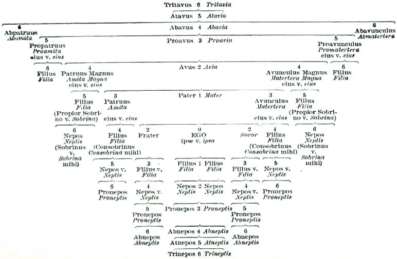 FIGURE 1. TABLE OF RELATIONSHIP