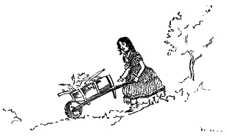 "I had only to sweep up the rubbish
... and carry it out of the
wood in my little wheelbarrow"