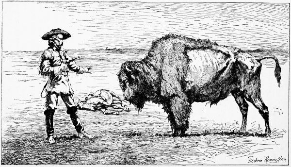 Custer and a Buffalo
