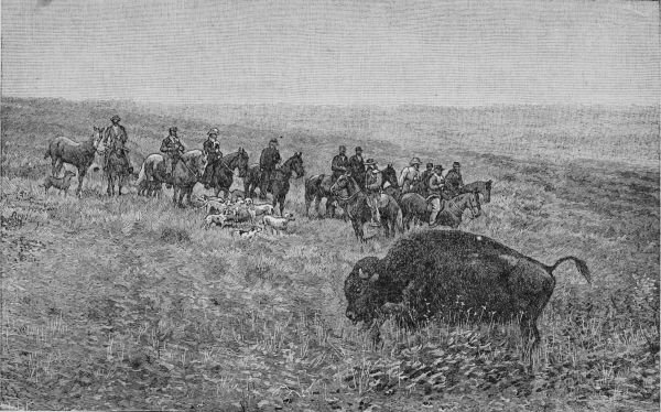 Photo of a buffalo hunt