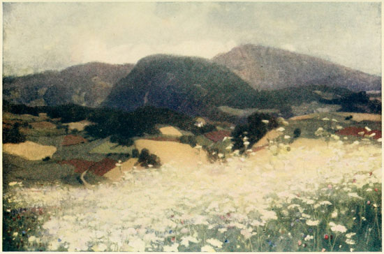 SUMMER TIME NEAR ST. ULRICH, GR�DENER THAL