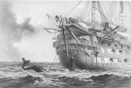 R. M. Bryson, lith from a drawing by R. Dudley

London, Day & Sons, Limited, Lith.

H.M.S. “AGAMEMNON” LAYING THE ATLANTIC TELEGRAPH CABLE IN 1858. A WHALE
CROSSES THE LINE.