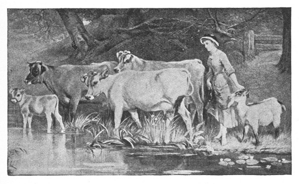 woman with cattle by the riverside