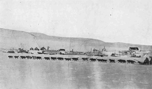 Picture of a thirty-three-dog team
against the background of St. Michael