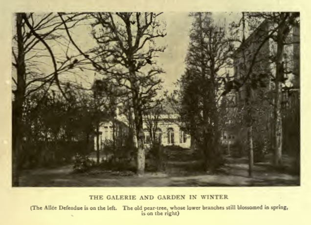 THE GALERIE AND GARDEN IN WINTER
