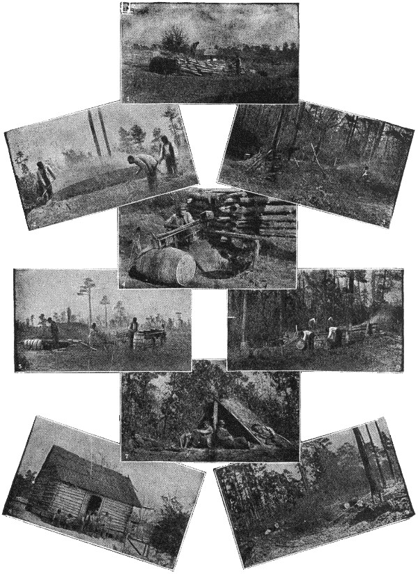 Scenes of pine tar production