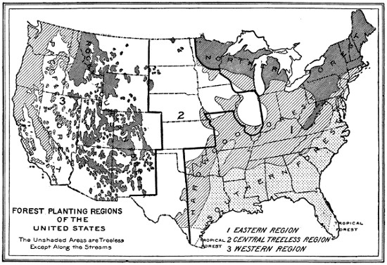 Map showing U.S. forests
