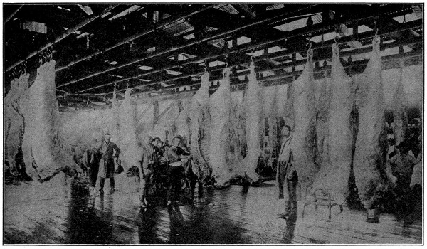 Beef carcasses in cold storage