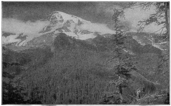 View of Mount Rainier