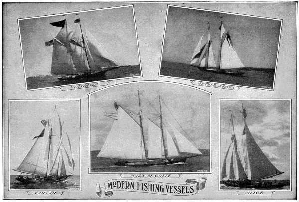 Modern fishing vessels