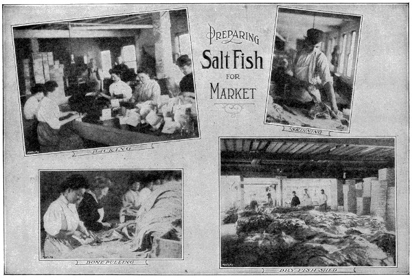 Preparing salt fish for market