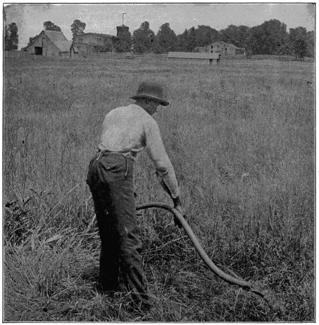 Mowing with a scythe