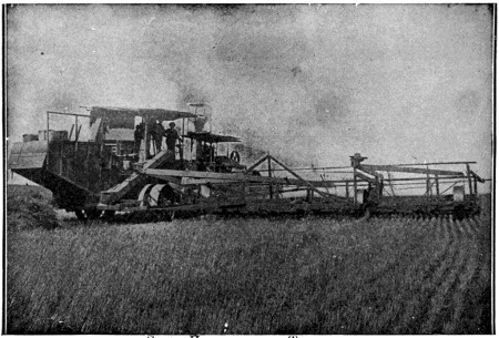 Steam powered harvester and thresher