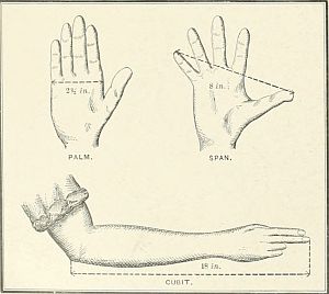 drawing of two hands and an arm