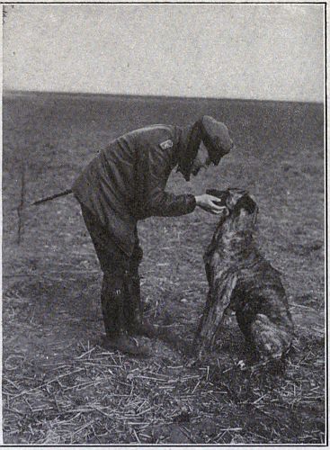 Richthofen bent over holding his dog's chin in his hand