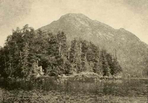 An Island near Valdez