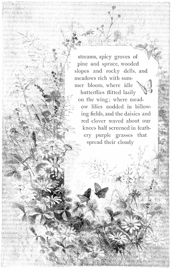 streams, spicy groves of pine and spruce,
wooded slopes and rocky dells, and meadows rich with summer bloom, where
idle butterflies flitted lazily on the wing; where meadow lilies nodded
in billowing fields, and the daisies and red clover waved about our
knees half screened in feathery purple grasses that spread their cloudy