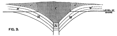 Vertical Section through CC. Diagram (Figure 1)