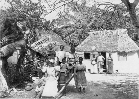 A NATIVE HUT.
FROM A PHOTOGRAPH BY J. F. COONLEY, NASSAU, N. P.