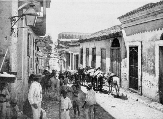 A MULE TRAIN, SANTIAGO DE CUBA. FROM A PHOTOGRAPH BY J.
F. COONLEY, NASSAU, N. P.