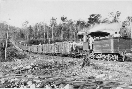 A SUGAR-CANE TRAIN.