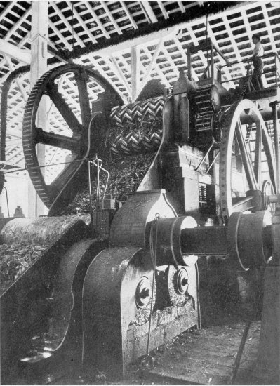 CYLINDERS FOR GRINDING SUGAR CANE.
