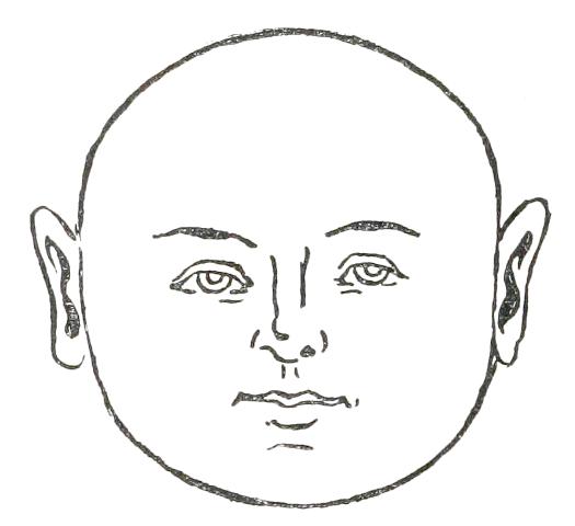 Fig. 12

ROUND FACE